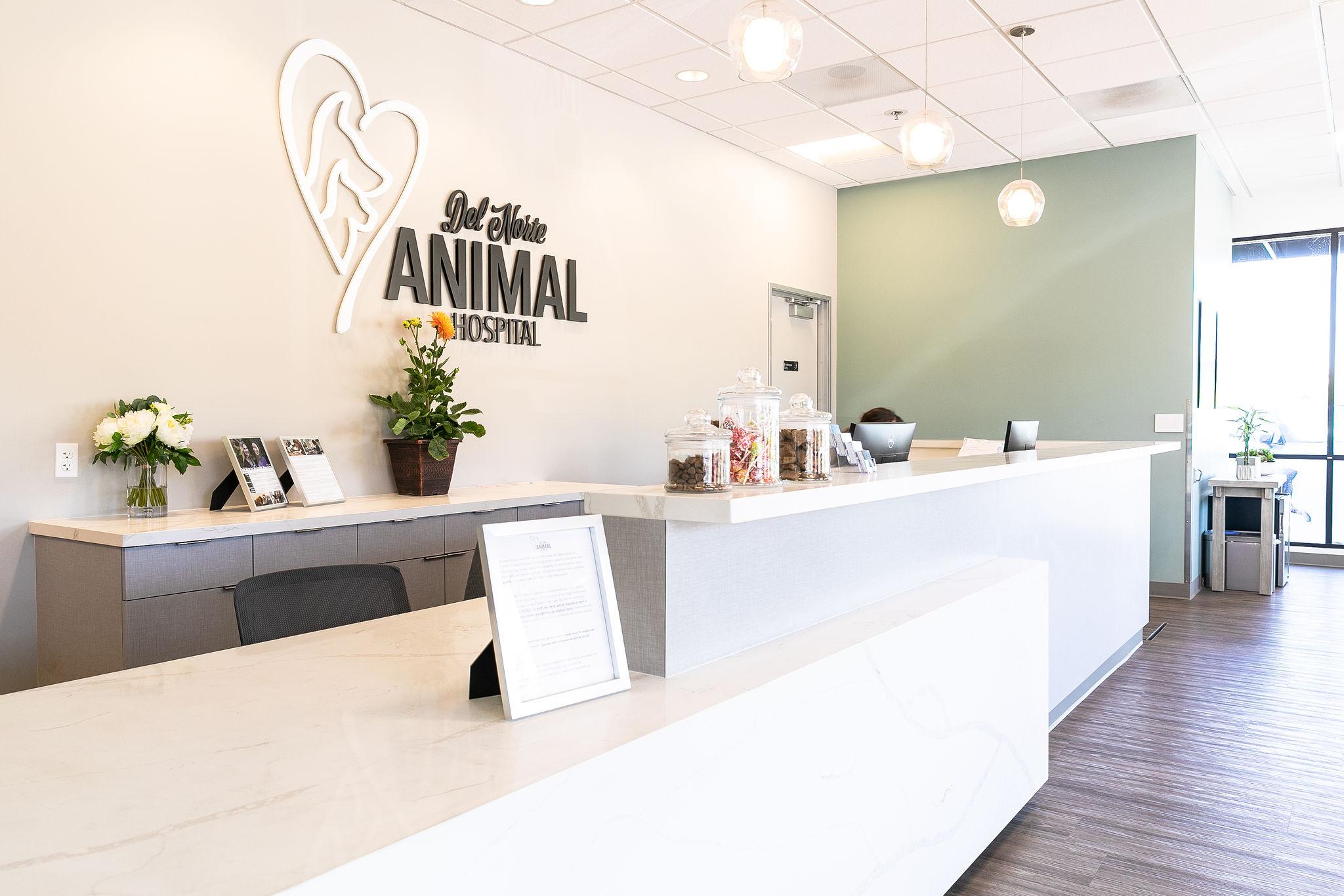  Better tools, better outcomes for animal patients